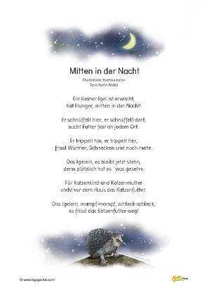 Artikelforum für Kindergarten, KiTa und Schule
