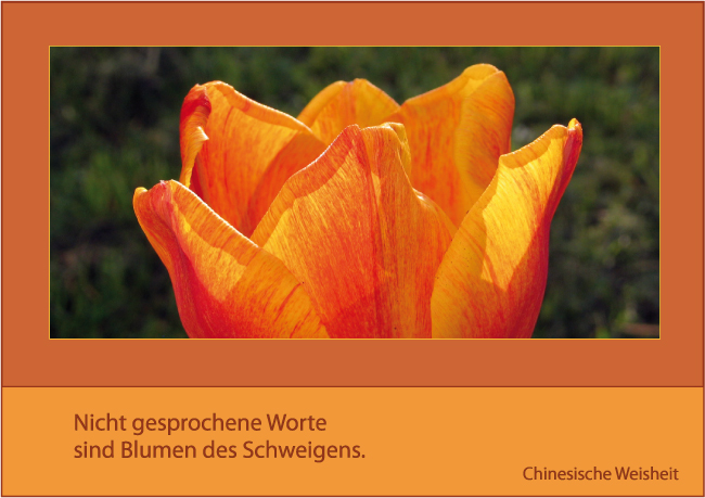 Get Chinesische weisheiten blumen sprueche weisheiten For iPhone Chinesische Weisheiten Blumen Sprueche Weisheiten