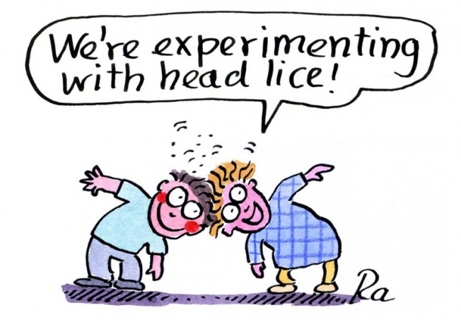 Head Lice For Pre K Kindergarten And Elementary School